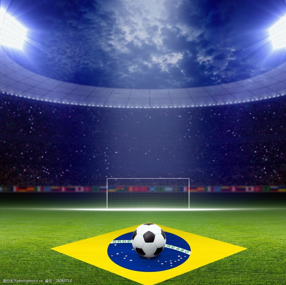 有限公司 有限公司